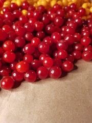 berries, red, cranberry, kalina, yellow, orange, autumn, vegetable, food, garden, harvest, transparent, kalina, table, kitchen, dessert, diet, cottage, village, conservation, agriculture