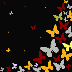 Colorful Butterfly Pattern On Black Background Copy Space