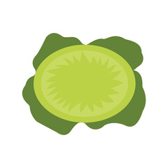 vegetables color flat vector image illustration design