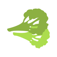 Broccoli flat icon isolated. Healthy food vector illustration
