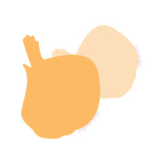 onion icon flat design and flat design illustration
