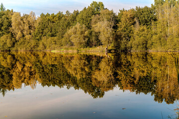 Im herbstlichen Wald
