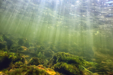 sun rays under water landscape, seascape fresh water river diving