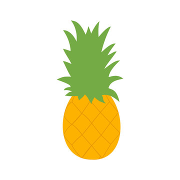 Pineapple with leaf icon. Tropical fruit isolated on a white background. Vector illustration design elements