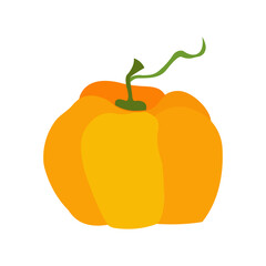 Pumpkin icon in flat style. Isolated object. Vector illustration.