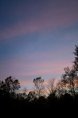 Sunrise with silhouetted trees in fall