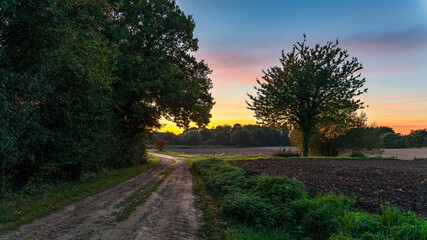 Goldene Stunde auf Felder und Wiesen