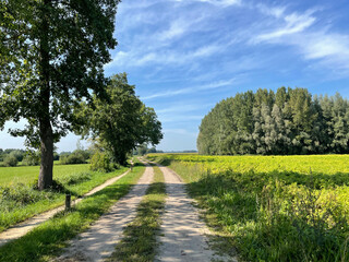 Obraz premium Gravel path around Gelselaar