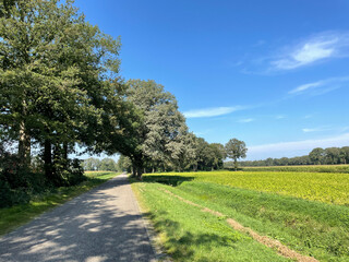 Road around Bentelo in Gelderland