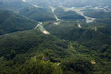 Aerial view of green forest. High quality photo