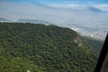 Aerial view of green forest. High quality photo