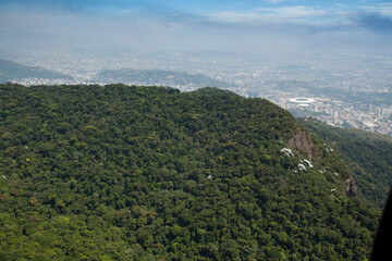 Fototapeta na wymiar Aerial view of green forest. High quality photo