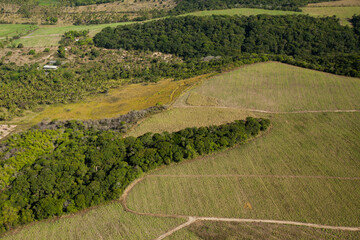 Aerial view of farm. Agriculture, plantation. High quality photo