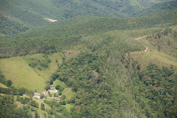 Aerial view of green forest. High quality photo