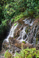 Fototapeta na wymiar Water Stream in a forest, near waterfall. Hiking Site de saint Barthelemy in Salernes, Provence, France.