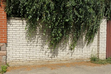 part of a white brick wall fence overgrown with green vegetation outside