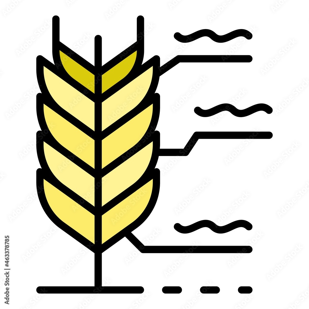 Wall mural wheat plant icon. outline wheat plant vector icon color flat isolated