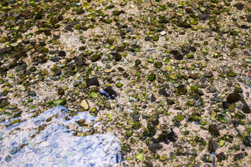 Under the water stream