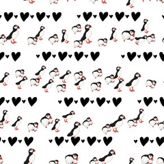 Vector white background ocean seabird, arctic birds, puffins. Seamless pattern background