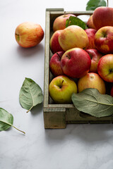 Close up of Harvest of ripe red and yellow apple fruits in crate on light table