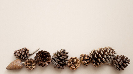 A variety of cones are laid out along the edge against a light background. New Year card. Top view