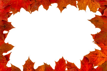 Naklejka na ściany i meble Happy Canada Day red silk leaves in frame shape with white copy space