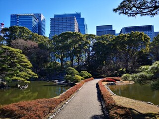 river in the city of Tokyo with park and trees