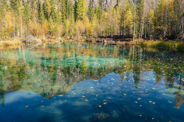Colorful autumn landscape with clear mountain lake in forest among yellow trees in sunshine. Bright scenery with beautiful turquoise lake in golden autumn colors. Unusual transparent lake in fall time