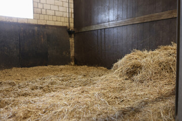 Empty stall in the stable with hay closeup - obrazy, fototapety, plakaty
