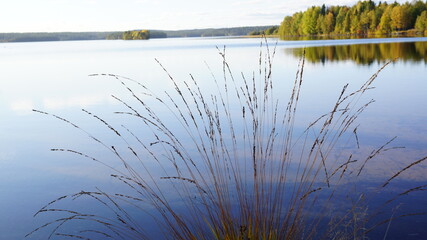Kontokki Lake, Kostomuksha city, Karelia