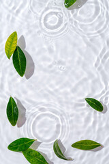 Water ripple with green leaves. Trendy white background for cosmetic product presentation. Artistic concept. Copy space - obrazy, fototapety, plakaty