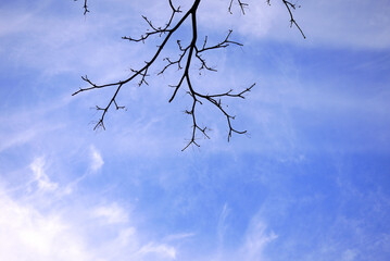 sky in jeju island