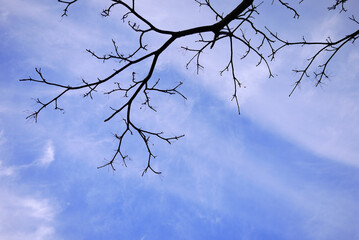sky in jeju island