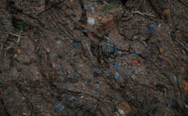 texture of rock