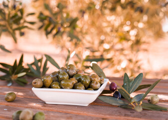 olives on table in an olive grove