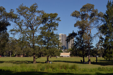Fototapeta na wymiar A view in Parramatta Park, Sydney