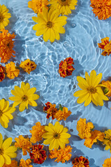 Water ripple with yellow  flowers. Trendy  background for cosmetic product presentation. Artistic concept. Copy space