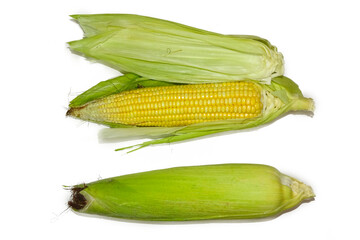 Fresh corn on cob isolated on white background.