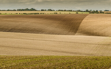 ploughed fields in autumn