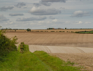 ploughed fields and footpath