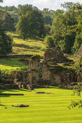 landscape views of  trees woods and green grass expanses