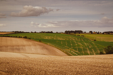 field and blue sky