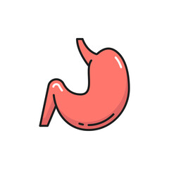 Stomach digestive tract and enzyme system internal organ isolated color line icon. Vector gastroenterologist clinic emblem, probiotic, lactobacillus bacteria in abdomen digestion internal human organ