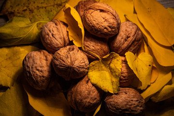 Group of fresh walnuts placed on wood covered by yellow autumn leaves. Moody yellow autumn picture perfectly in focus representing start of autumn. Multiple walnuts. 