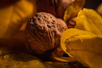 Singular walnut placed on table covered with leaves selective focused. Perfectly decorated for that autumn vibe. Walnut photo