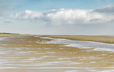 beach in the morning