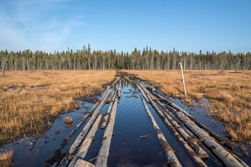 Russian road. Forest road for an all-terrain vehicle. The road through the swamp. Сauseway is a wooden road through a swamp.