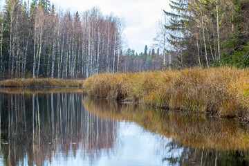 Taiga. River. Autumn. Reflection of trees in the river. Northern river. Northern nature.