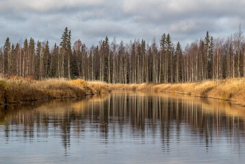 Taiga. River. Autumn. Reflection of trees in the river. Northern river. Northern nature.