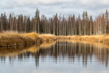 Taiga. River. Autumn. Reflection of trees in the river. Northern river. Northern nature.